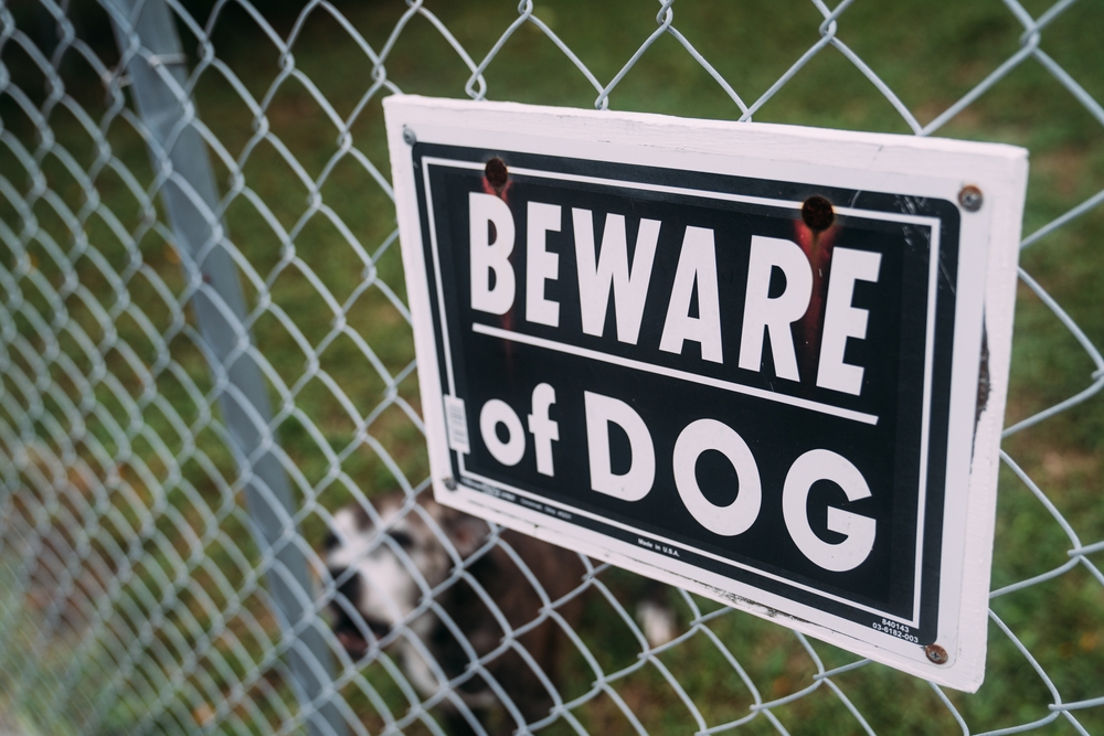 Dog behind chain link fence with "Beware of Dog" sign