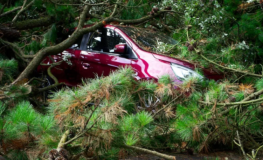 Tips for Documenting the Accident Scene